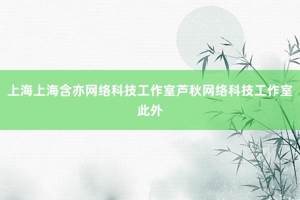 上海上海含亦网络科技工作室芦秋网络科技工作室此外