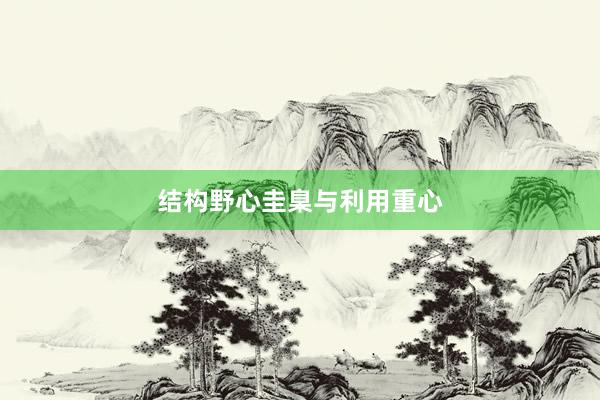 结构野心圭臬与利用重心