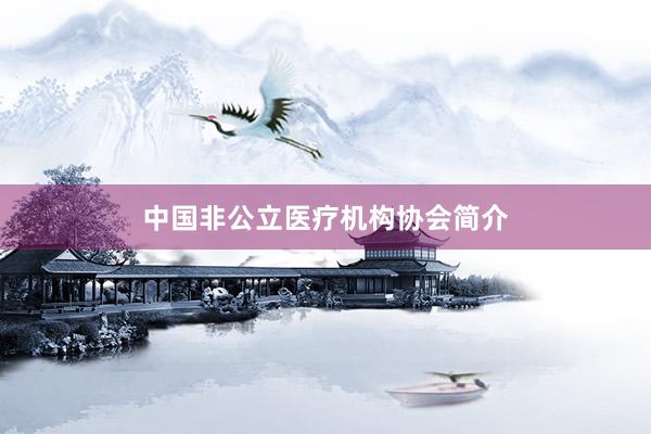 中国非公立医疗机构协会简介