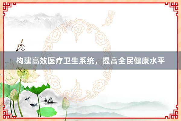构建高效医疗卫生系统，提高全民健康水平