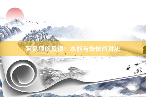 狗见狼的反馈：本能与怯怯的对决