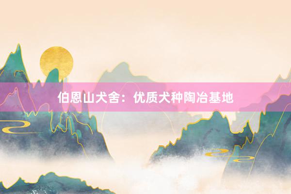 伯恩山犬舍：优质犬种陶冶基地